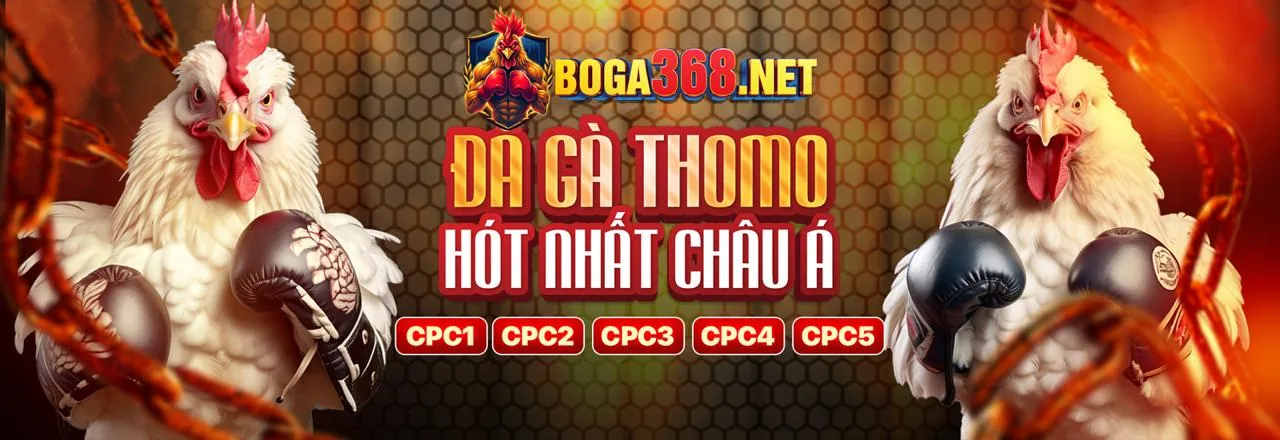 Trận đấu gà trực tuyến kịch tính tại pp88